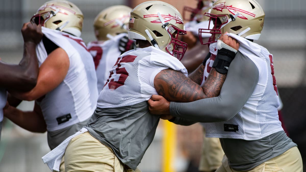 College Football Preview: No. 9 South Carolina at No. 3 Florida