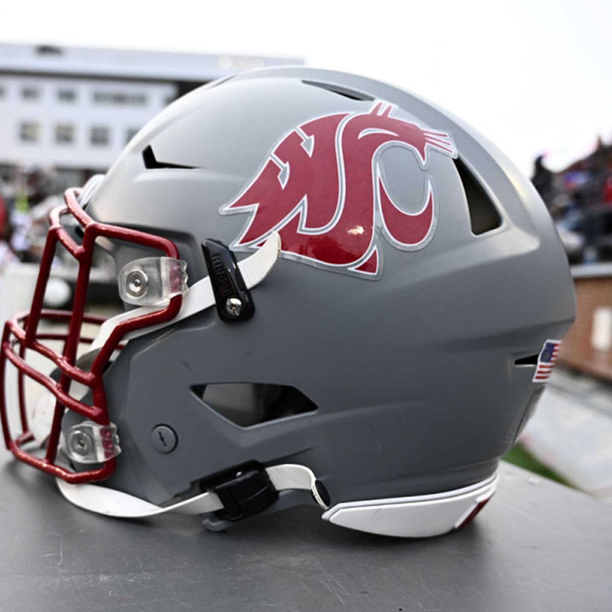 It's Game Week: Get To Know The Washington State Cougars