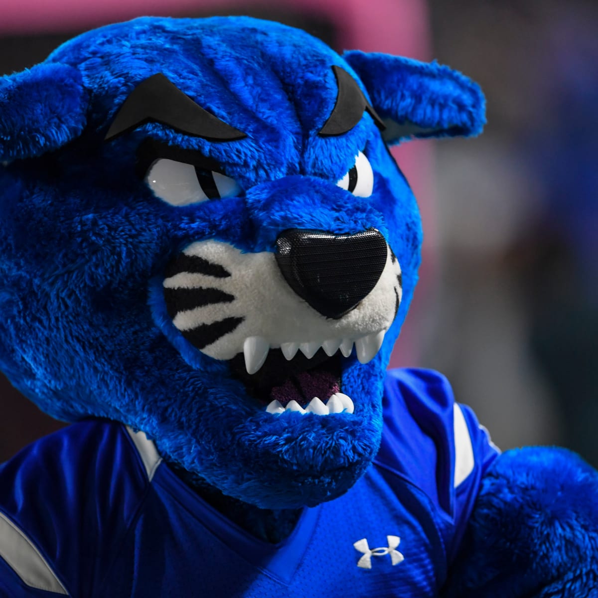 Buy Georgia State Panthers Football Tickets, 2023 Event Dates & Schedule