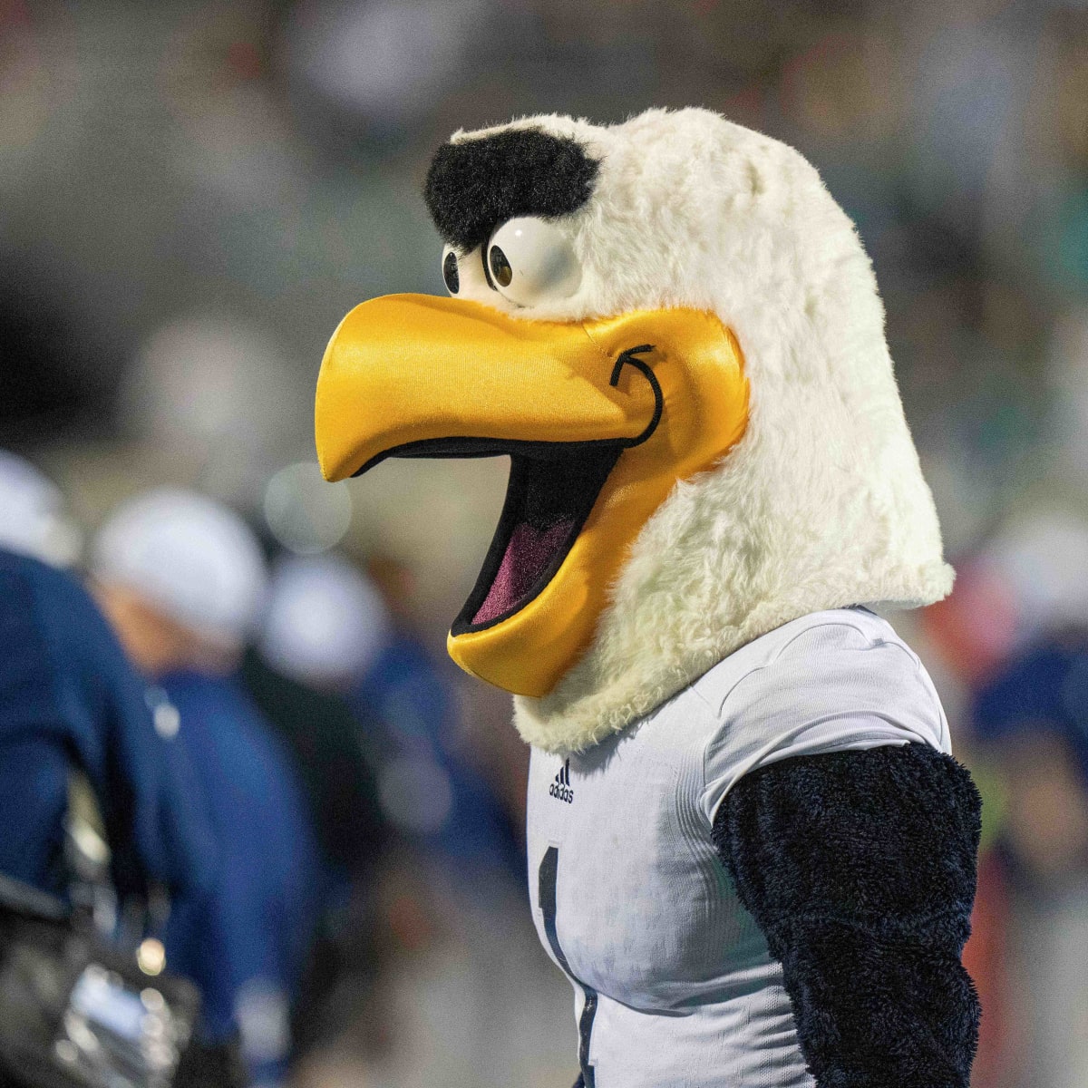 GAME PREVIEW: Georgia Southern Looking To End 2022 Season on High