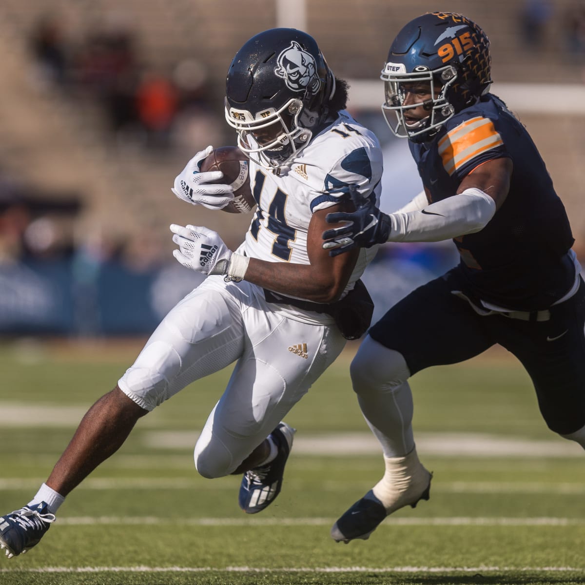 FIU vs. Miami Marlins Photo Blog - FIU Panthers Prowl