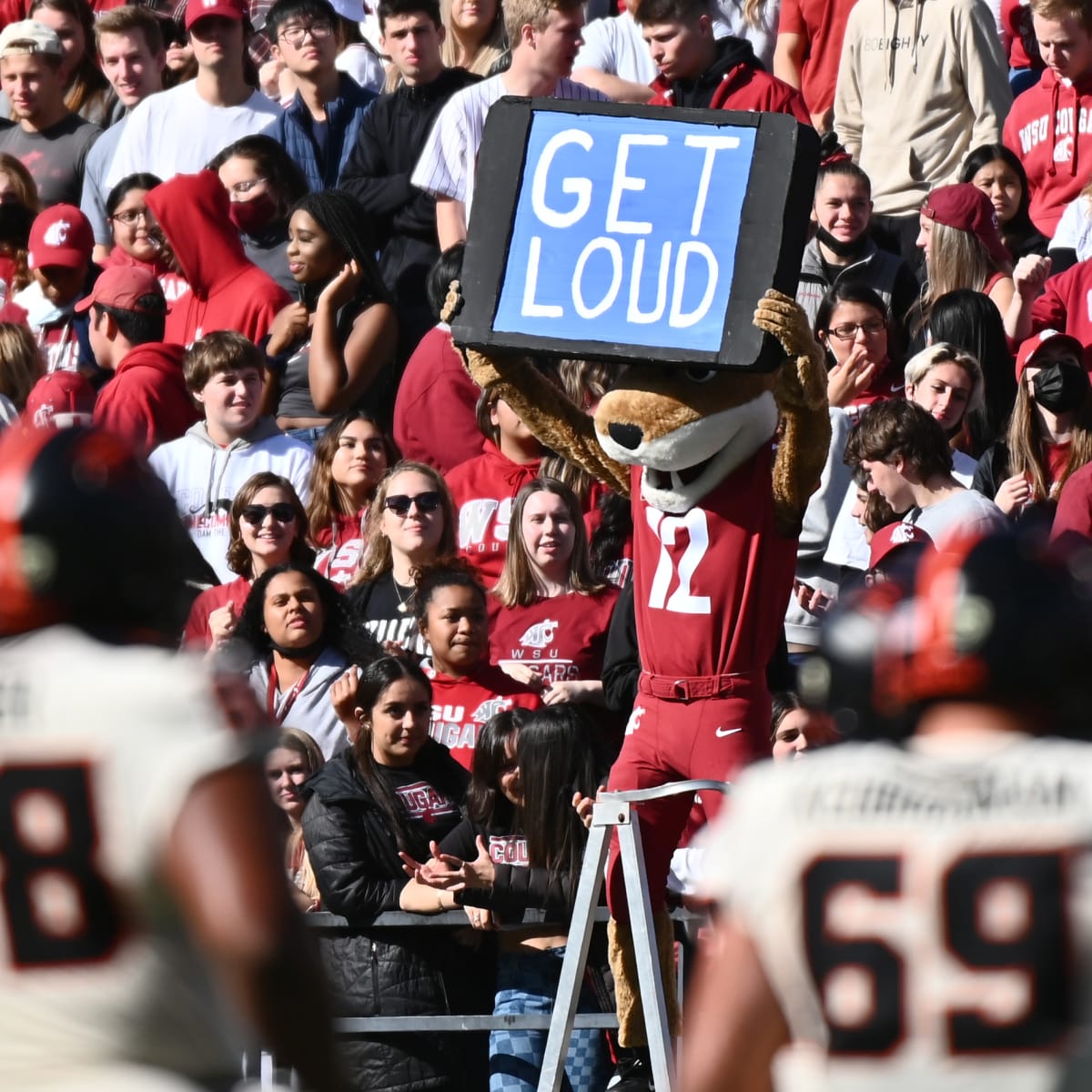 College Football Week 4 Best Bets: Oregon State vs Washington State - NBC  Sports