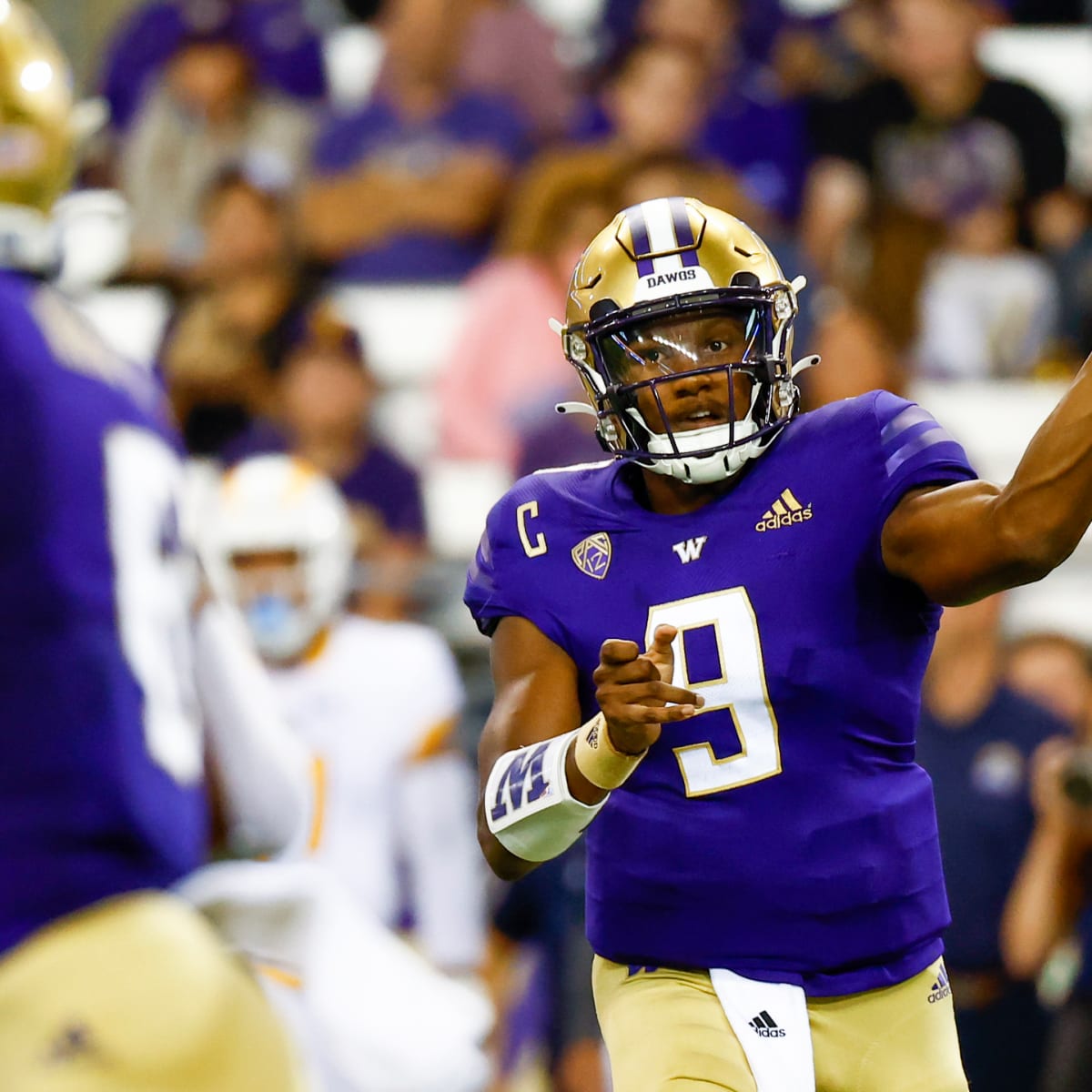 Washington cheap college football