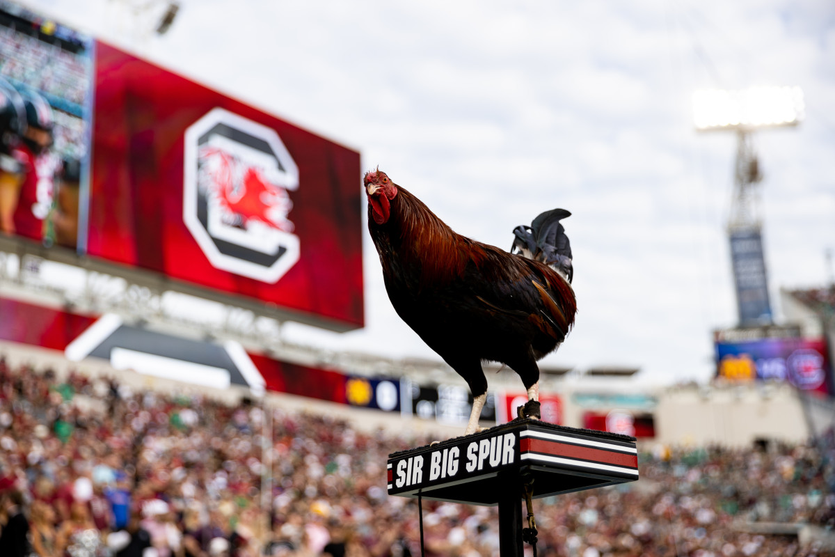 Mississippi State at South Carolina: 10 Best Predictions Against The ...