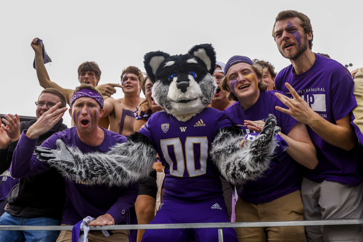 Washington Huskies College Football Preview 2023: Defense - College Football  News