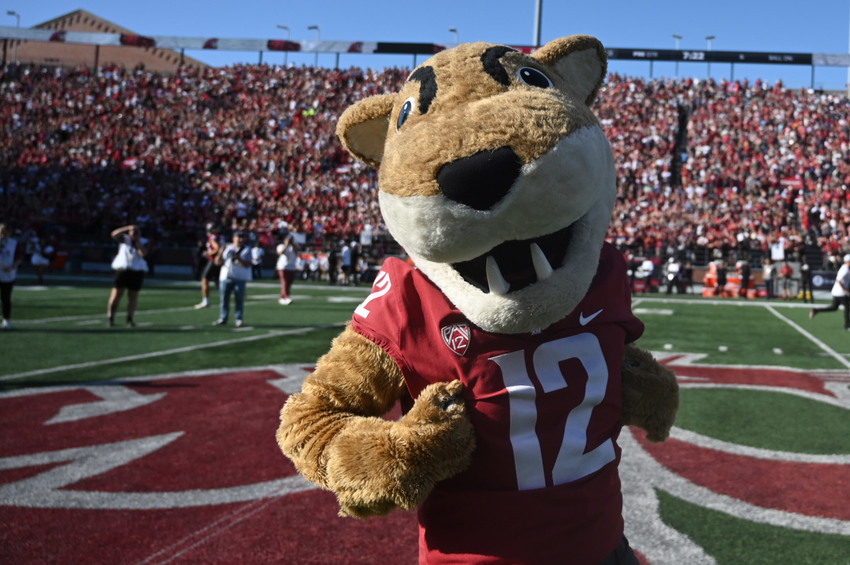 Washington State Preview, Best Players, Top Transfers, Season ...