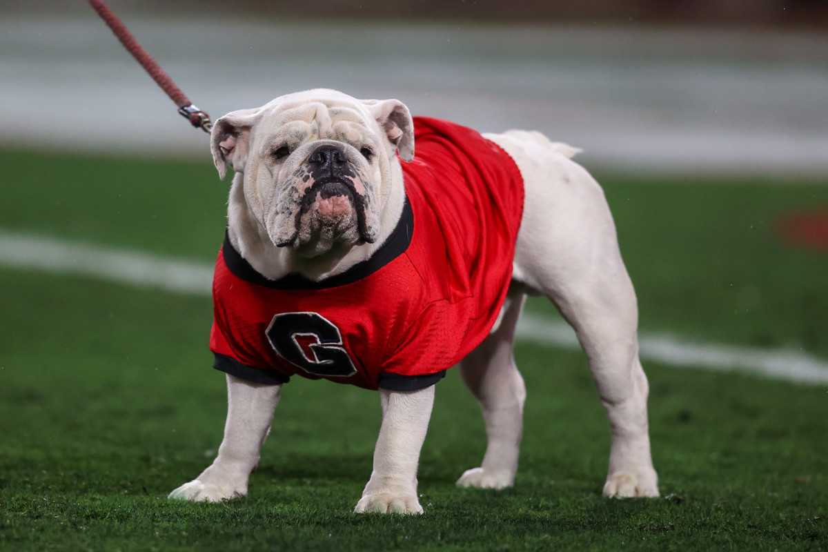 Football 2024 Preview Win Total, Predictions, and Season Keys